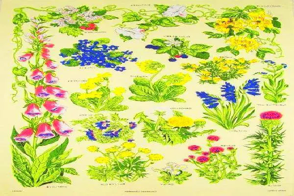 floral tea towels gift