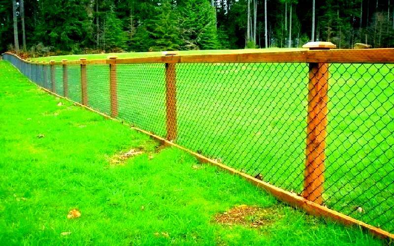 inexpensive fence ideas