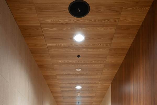 panelled plywood ceiling