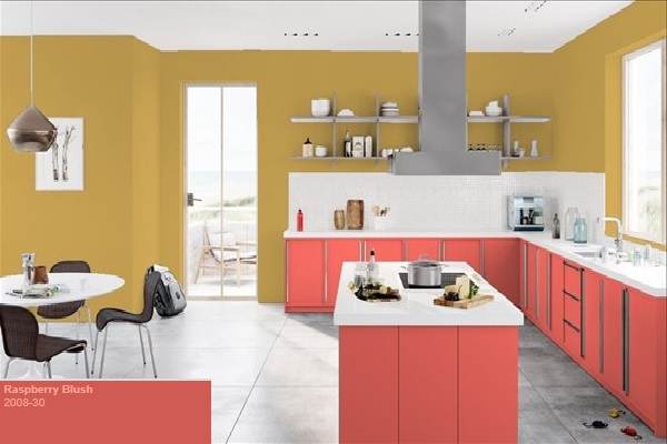 kitchen color combinations