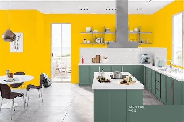 kitchen cabinet color combinations