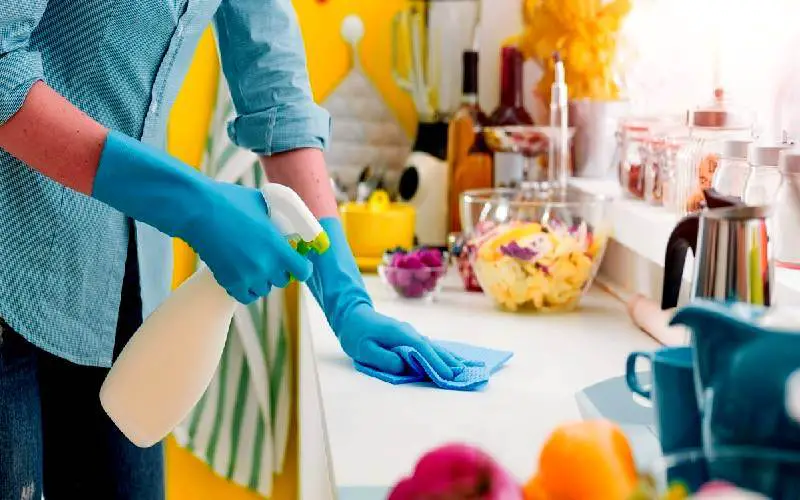 kitchen cabinet clean and polish