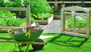best summer crops garden