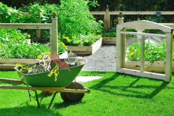 best summer crops garden