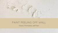 paint peeling off wall