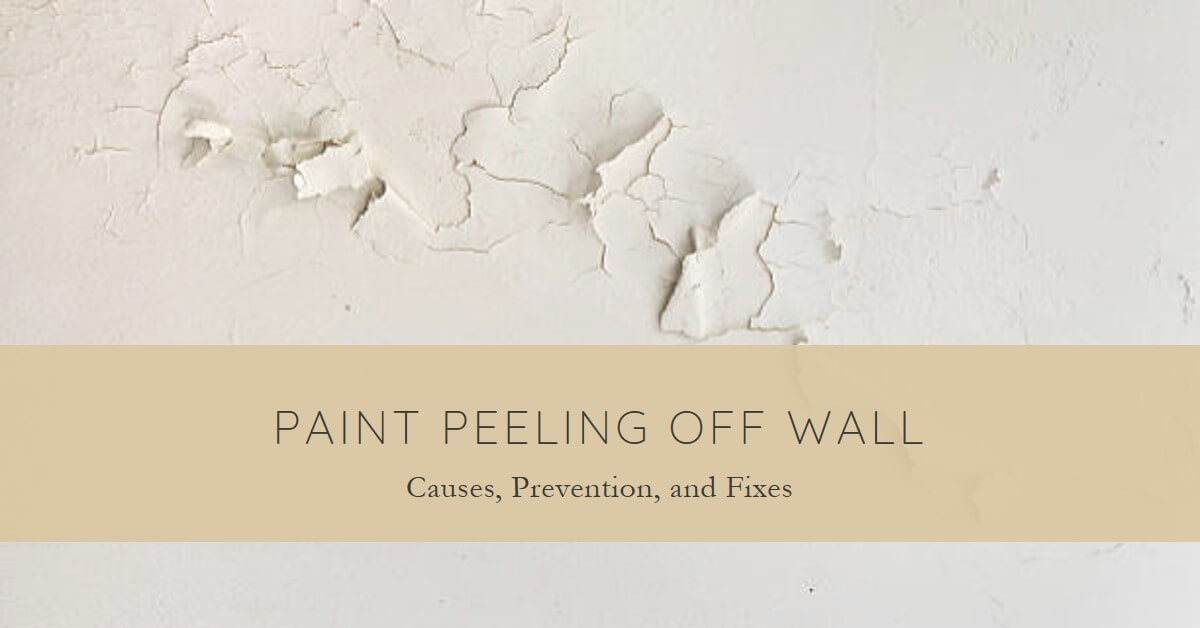 paint peeling off wall